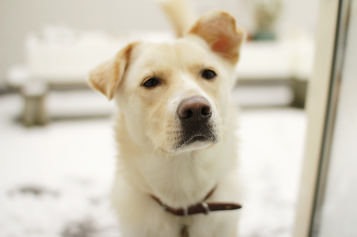 f:id:iengmwk:20150105141646j:image