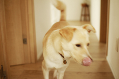 f:id:iengmwk:20150105142831j:image