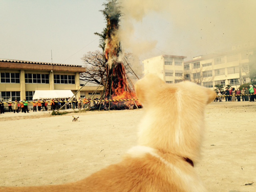 f:id:iengmwk:20150112122503j:image