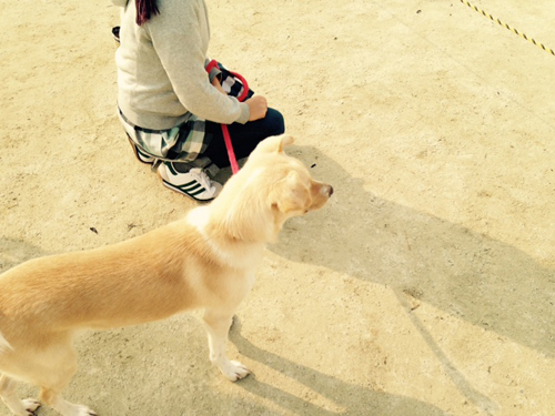 f:id:iengmwk:20150112122504j:image