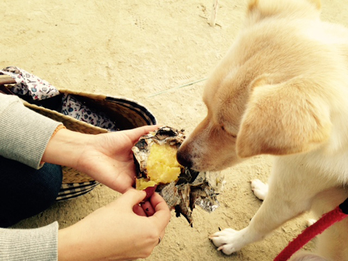 f:id:iengmwk:20150112122506j:image