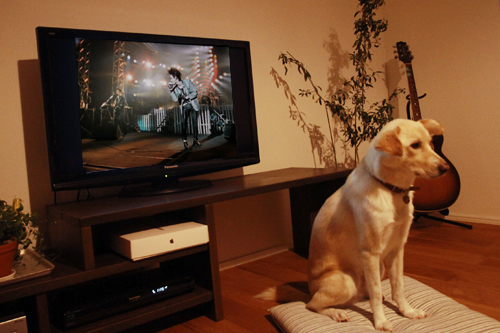 f:id:iengmwk:20150112125001j:image f:id:iengmwk:20150112125001j:image