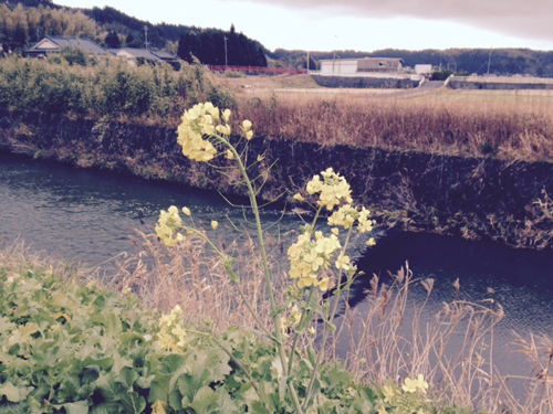 f:id:iengmwk:20150116173503j:image f:id:iengmwk:20150116173503j:image