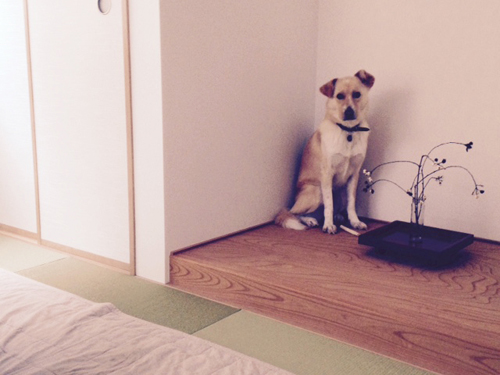 f:id:iengmwk:20150122104148j:image