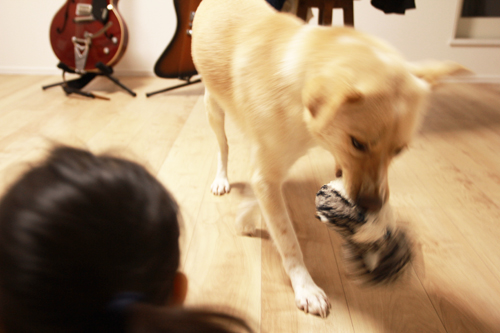 f:id:iengmwk:20150130120130j:image