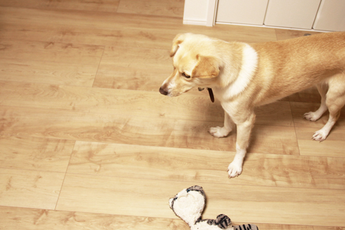 f:id:iengmwk:20150130120958j:image