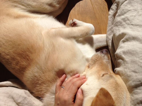 f:id:iengmwk:20150213124722j:image