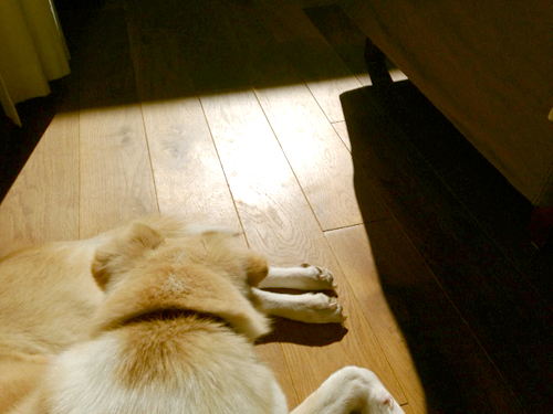 f:id:iengmwk:20150213124724j:image