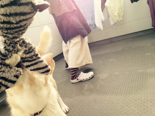 f:id:iengmwk:20150307162741j:image