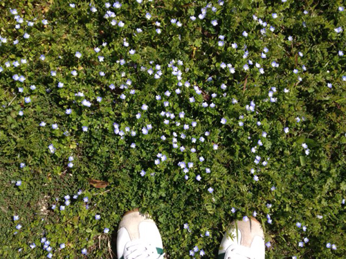 f:id:iengmwk:20150309101422j:image