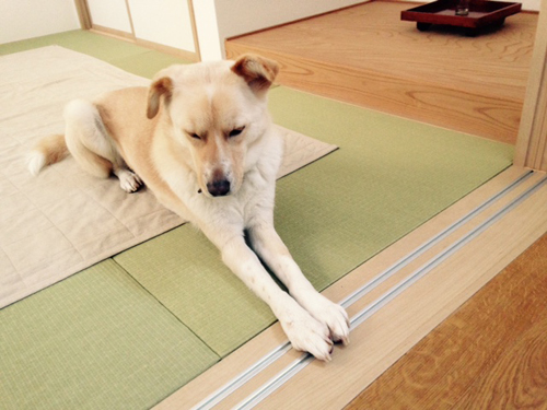 f:id:iengmwk:20150310174731j:image f:id:iengmwk:20150310174731j:image