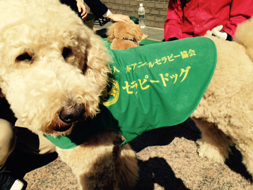 f:id:iengmwk:20150311151239j:image