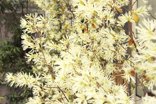 f:id:iengmwk:20150405114018j:image