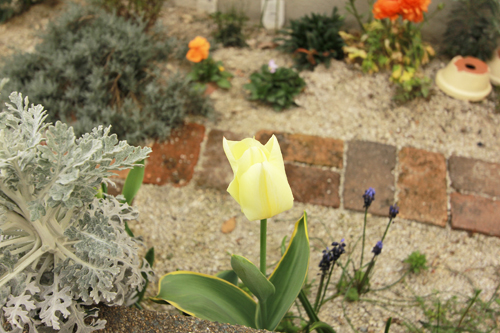 f:id:iengmwk:20150405114104j:image