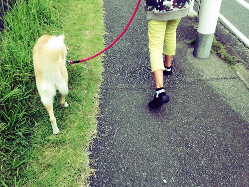 f:id:iengmwk:20150608094010j:image