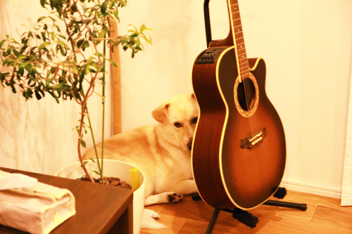 f:id:iengmwk:20150608095349j:image