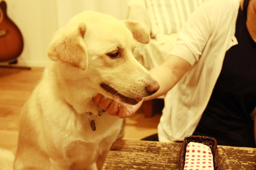 f:id:iengmwk:20150818124003j:image