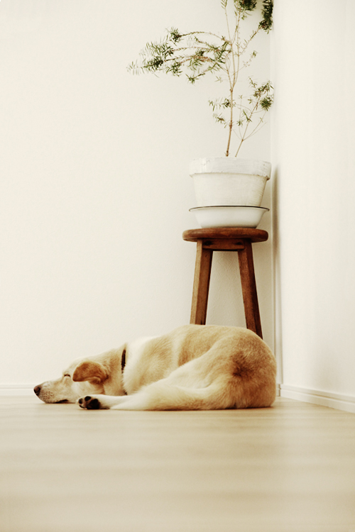 f:id:iengmwk:20150831101219j:image