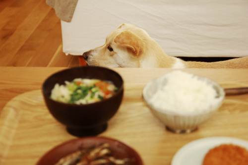 f:id:iengmwk:20150928213404j:image