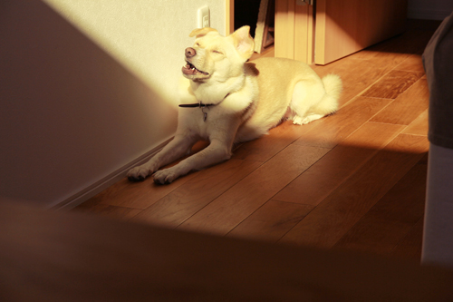 f:id:iengmwk:20151003112835j:image