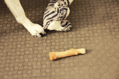 f:id:iengmwk:20151008181120j:image