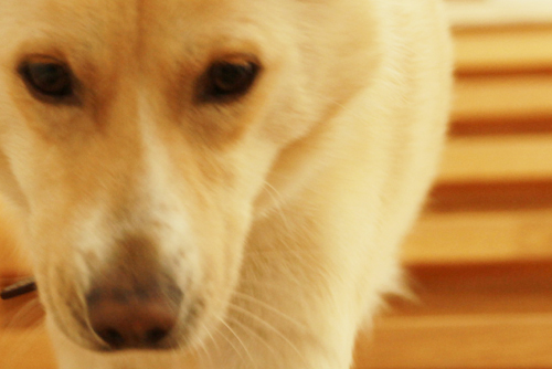 f:id:iengmwk:20151015085514j:image