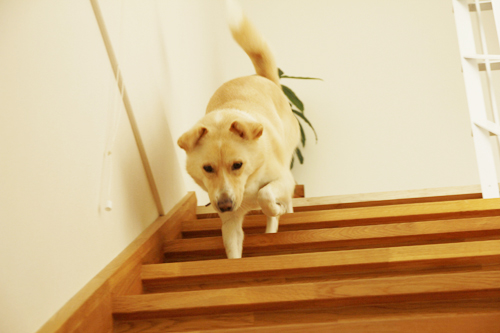 f:id:iengmwk:20151015085517j:image