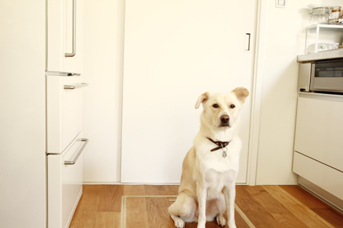 f:id:iengmwk:20151029123440j:image