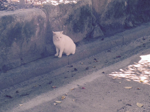 f:id:iengmwk:20151124110419j:image