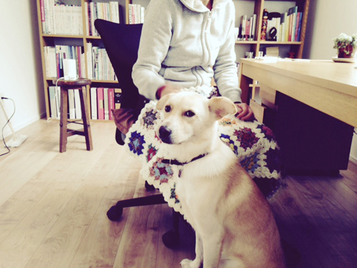 f:id:iengmwk:20160124111156j:image