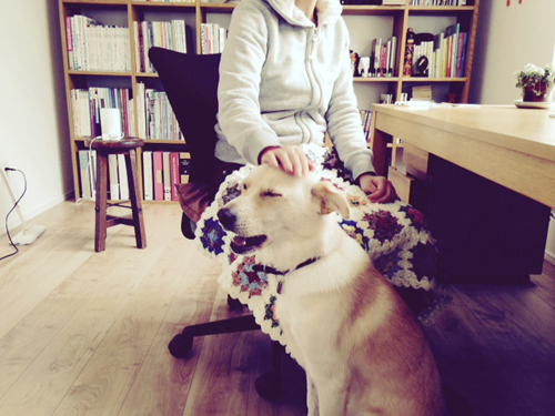 f:id:iengmwk:20160124111157j:image