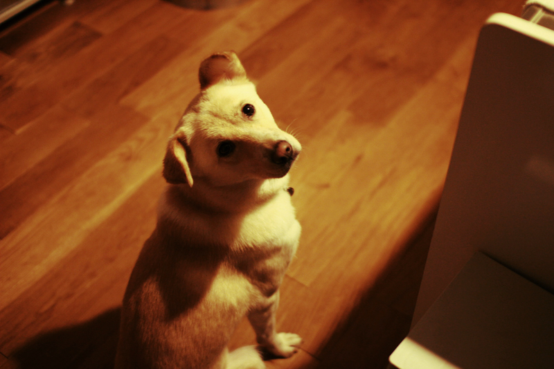 f:id:iengmwk:20160203092111j:image