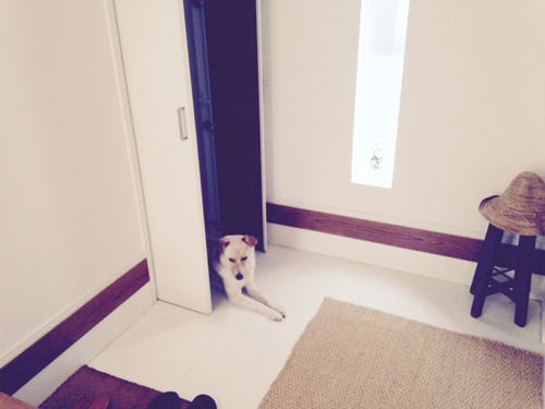 f:id:iengmwk:20160208101406j:image