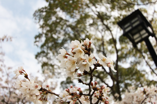 f:id:iengmwk:20160327120452j:image