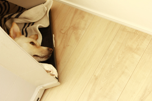 f:id:iengmwk:20160606085348j:image