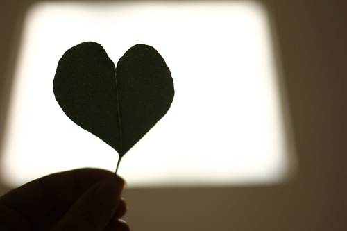 f:id:iengmwk:20160727092218j:image
