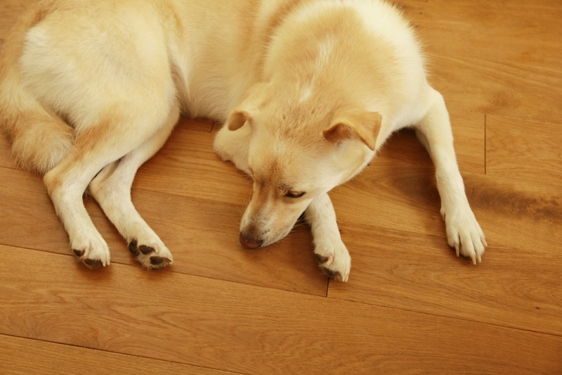 f:id:iengmwk:20160801125927j:image