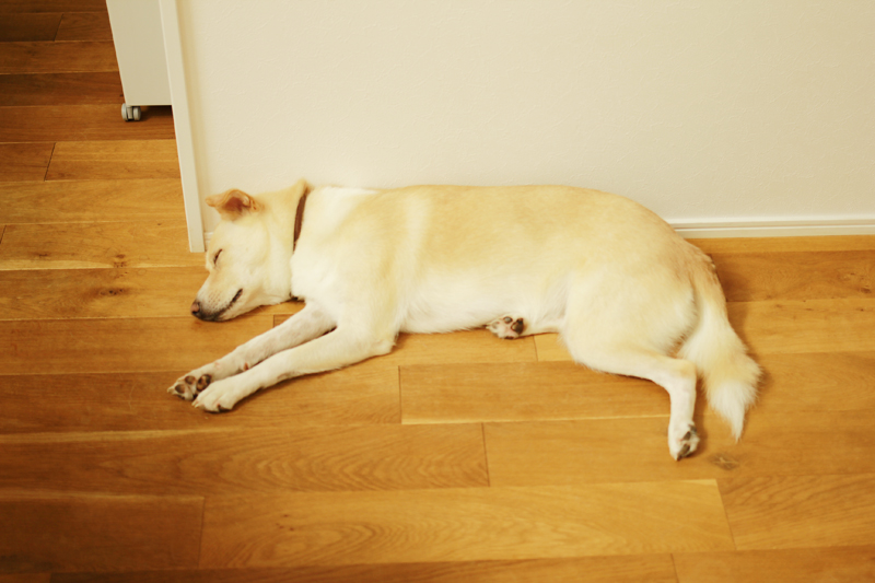 f:id:iengmwk:20160916113059j:image