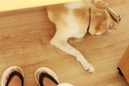 f:id:iengmwk:20160926100942j:image