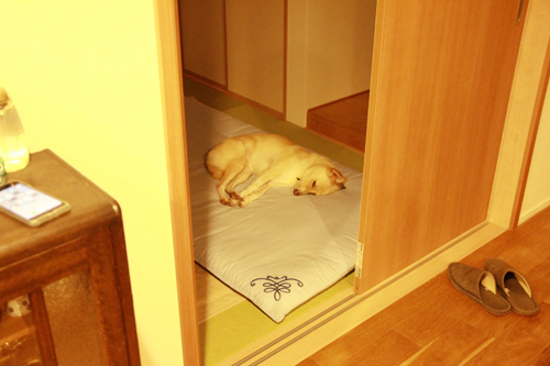 f:id:iengmwk:20161205155805j:image