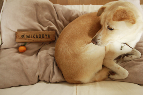 f:id:iengmwk:20161229160502j:image