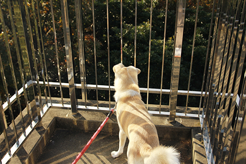 f:id:iengmwk:20170105145125j:image