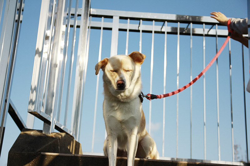 f:id:iengmwk:20170105145131j:image