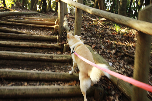 f:id:iengmwk:20170105145152j:image f:id:iengmwk:20170105145152j:image