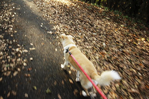 f:id:iengmwk:20170105145153j:image f:id:iengmwk:20170105145153j:image