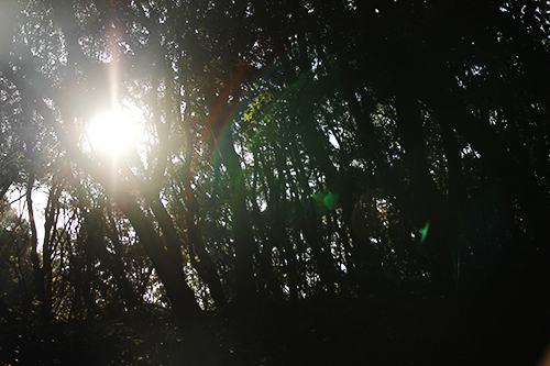 f:id:iengmwk:20170105145154j:image f:id:iengmwk:20170105145154j:image