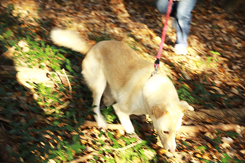 f:id:iengmwk:20170105145208j:image f:id:iengmwk:20170105145208j:image