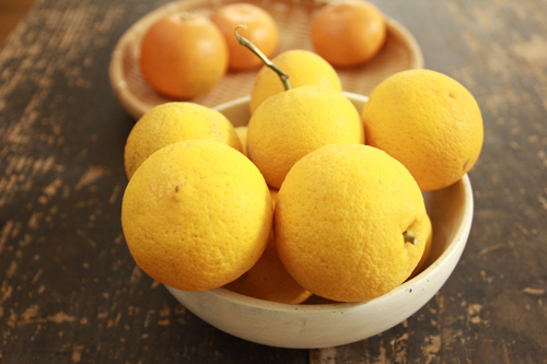 f:id:iengmwk:20170114130157j:image