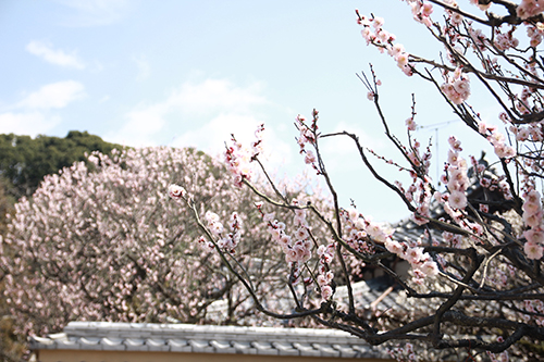f:id:iengmwk:20170313093059j:image