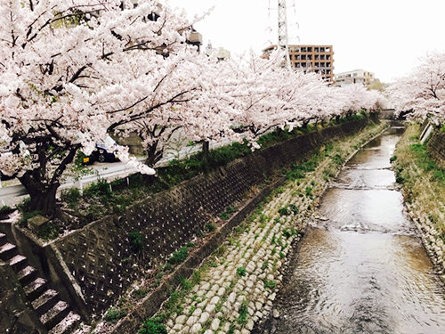 f:id:iengmwk:20170410135939j:image